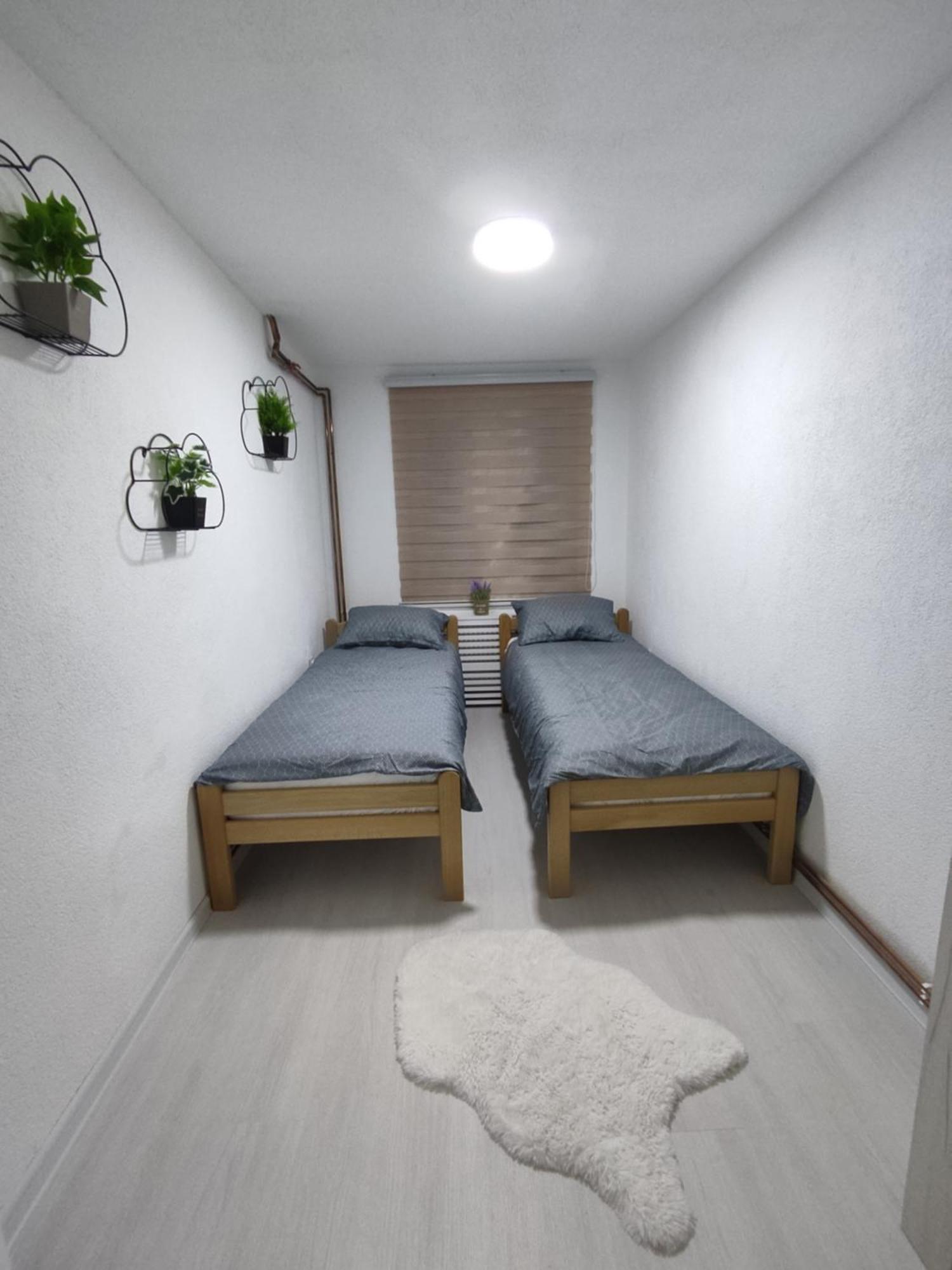 Ticina Apartment SJJ Extérieur photo